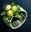 Earth Ring Item