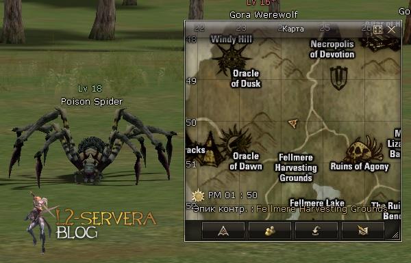 Квест на 1 профу варка/овера - Path of the Orc Shaman 22 Poison Spider NPC