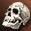 Breka Overlord Skull Item