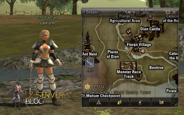 Квест на 2 профу ПВ 3 в 1 - Plains Walker 20 Militiaman Leirynn NPC