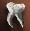Moonstone Beast's Molar Item
