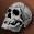 Tonar's Skull Item
