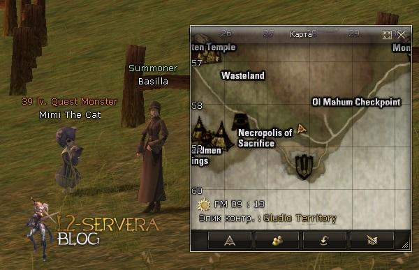 Квест на 2 профу Коневода/ЕС 3 в 1 - Elemental Summoner 108 Summoner Basilla NPC