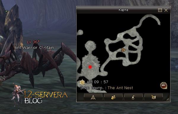 Квест на 2 профу сырка 3 в 1 - Silver Ranger 113 Ant Warrior Captain NPC