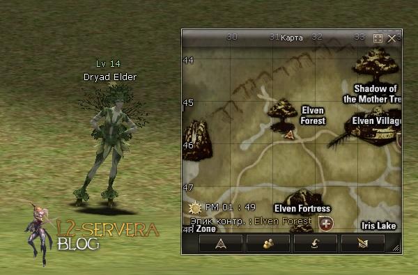 Квест на 2 профу сорка 3 в 1 - Sorcerer 37 Dryad Elder NPC