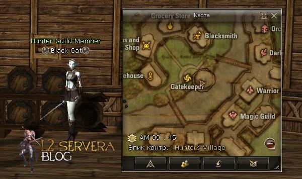 Hunter Guild Member Black Cat NPC