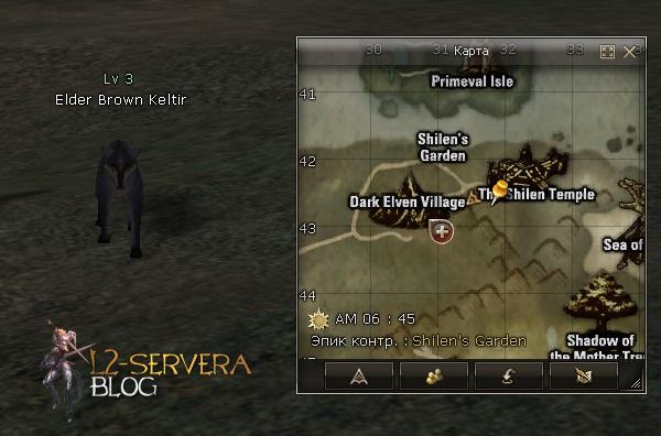 Квест Shilen's Hunt 5 Elder Brown Keltir NPC