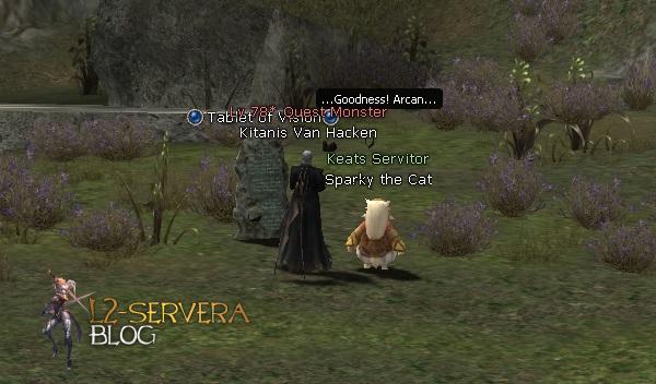 Квест на 3 профу котовода/варлока - Saga of the Arcana Lord 29 Kitanis Van Hacken NPC