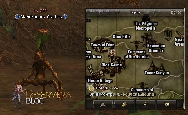 Рецепты на соски в Lineage 2: Спойл в картинках 6 Mandragora Sapling NPC