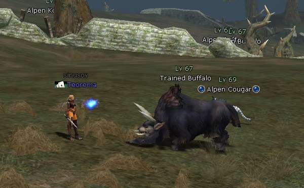 Бафф питомцев на ферме Lineage 2 - Beast Farm Buff 2 trained buffalo1 Сервера Lineage 2