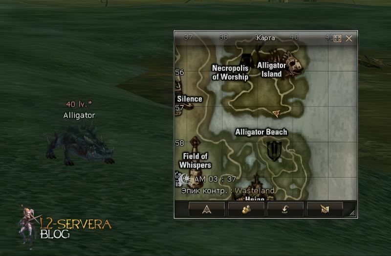 Alligator 40 lvl – ID 20135