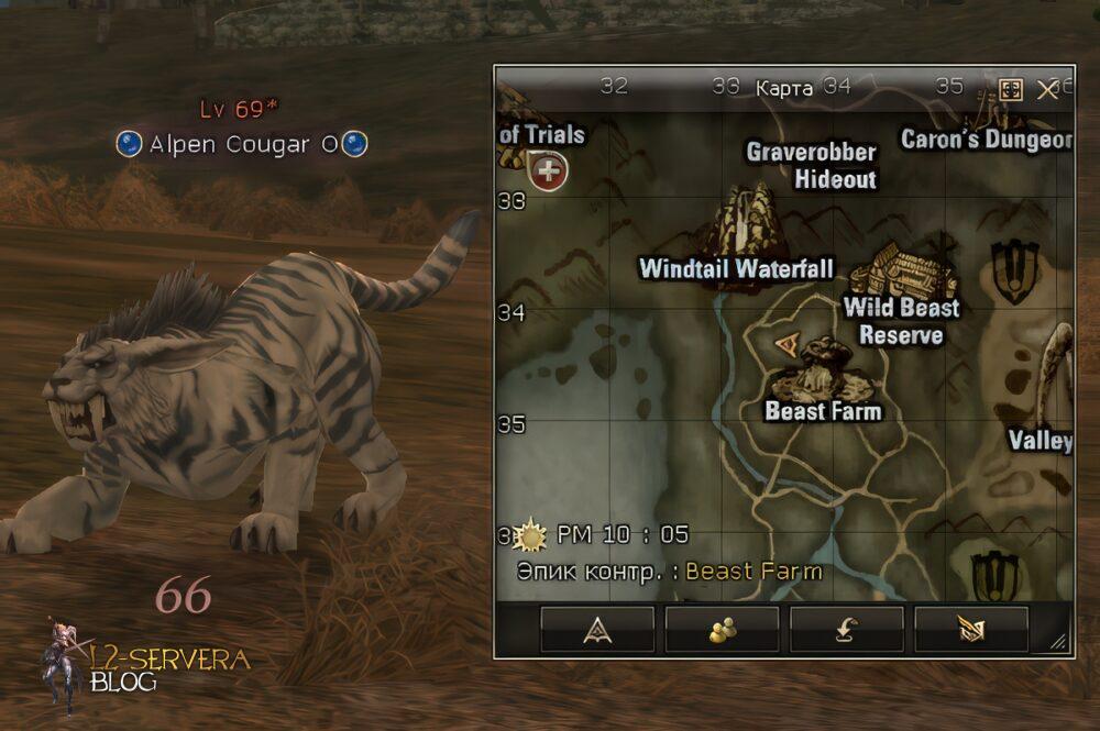 Alpen Cougar O 69 lvl (ID 21503) - Beast Farm 6 alpen cougar o upskale Сервера Lineage 2