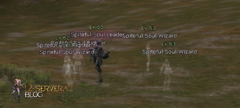 Spiteful Soul Leader 65 lvl – ID 20974