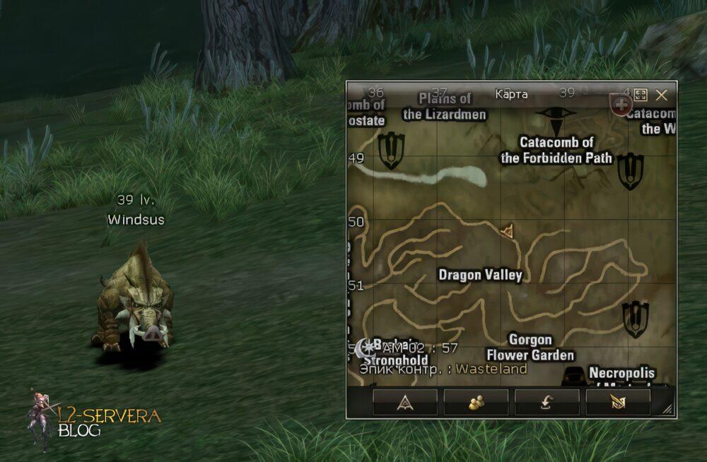 Windsus 39 lvl - ID 20553 2 Windsus Drop Spoil