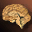 Zombie's Brain 1 Zombie's Brain