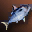 Small Blue Nimble Fish - For Beginners