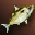 Large Yellow Nimble Fish - For Beginners
