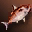 Red Nimble Fish - Upper Grade