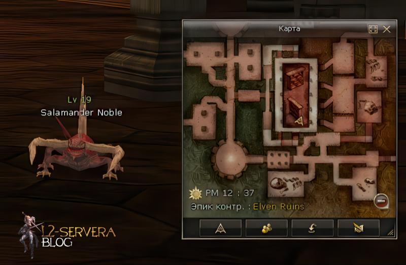 Salamander Noble 19 lvl – ID 20114