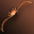 Giant Crab: Bow 1 Giant Crab: Bow