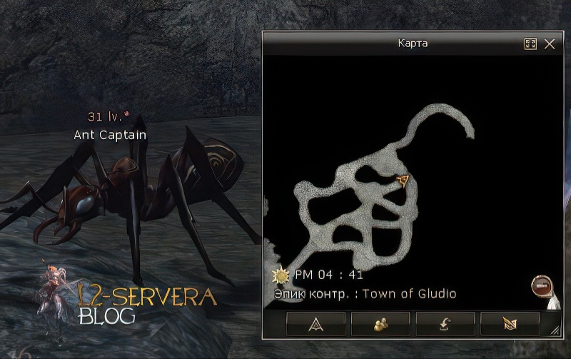 Ant Captain 31 lvl - ID 20080 1 Ant Captain 31 lvl - ID 20080