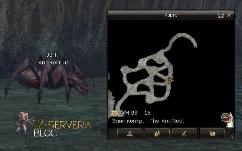 Ant Recruit 33 lvl - ID 20082