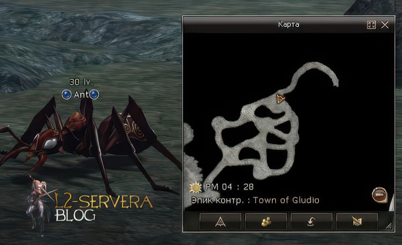 Ant 30 lvl – ID 20079