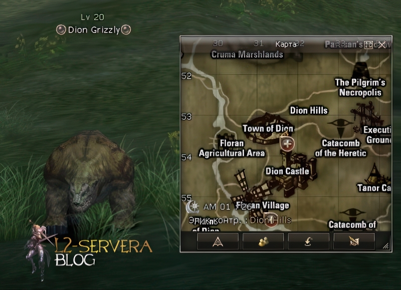 Dion Grizzly 20 lvl – ID 20203