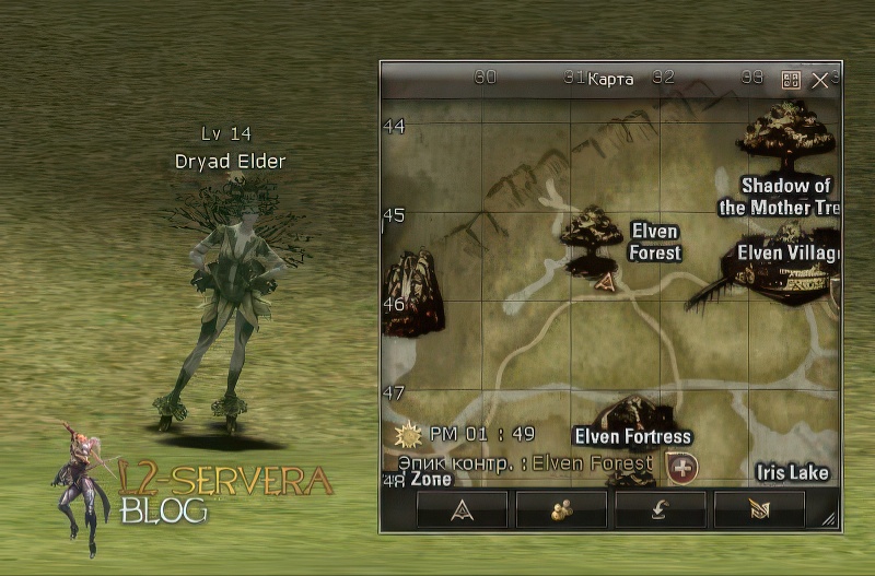 Dryad Elder 14 lvl – ID 20019