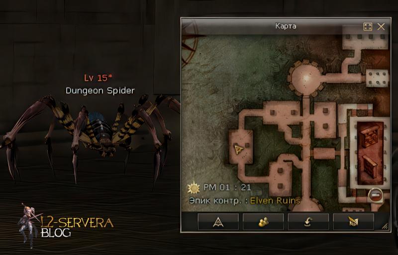 Dungeon Spider 15 lvl – ID 20461