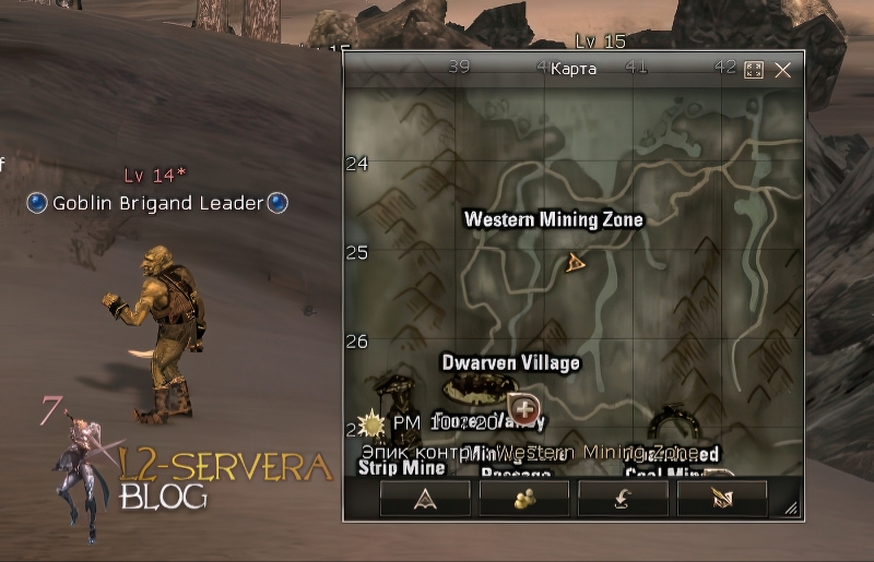 Goblin Brigand Leader 14 lvl – ID 20323