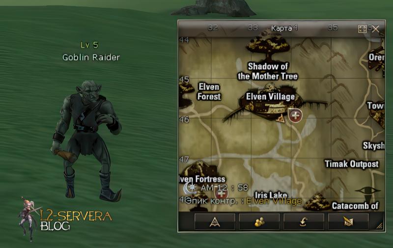 Goblin Raider 5 lvl