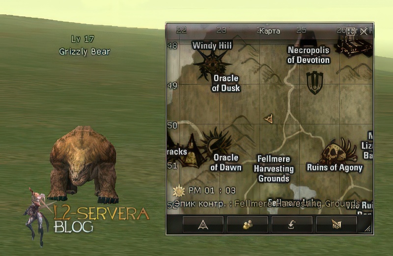 Grizzly Bear 17 lvl – ID 20335