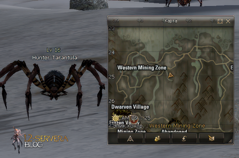 Hunter Tarantula 16 lvl – ID 20403