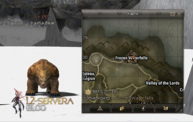 Kasha Bear 15 lvl – ID 20479