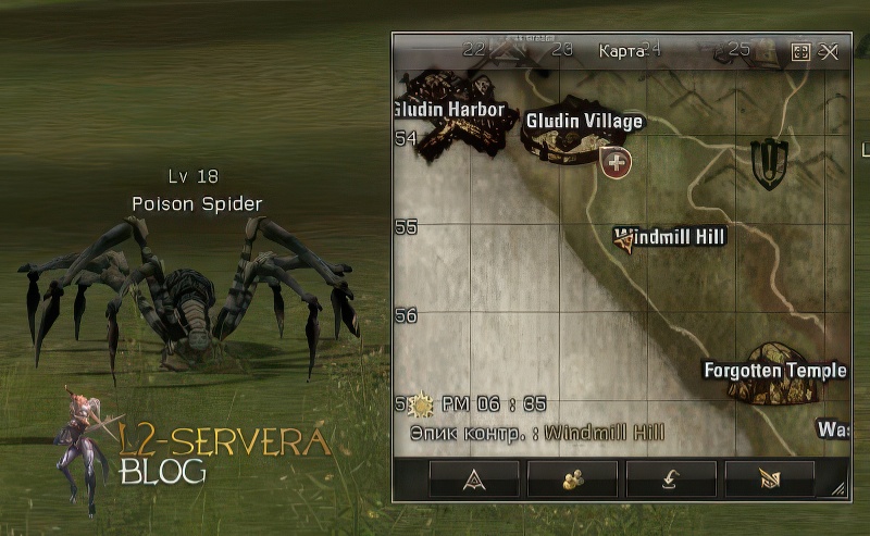 Poison Spider 18 lvl