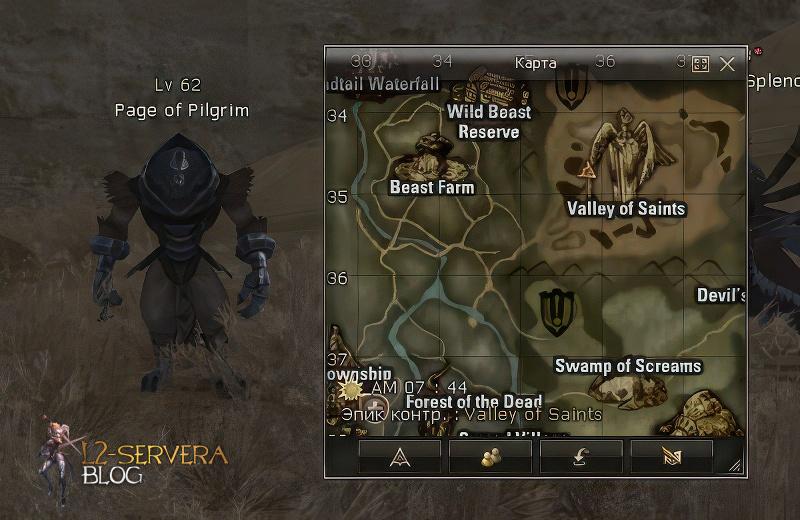 Page of Pilgrim 62 lvl – ID 21543