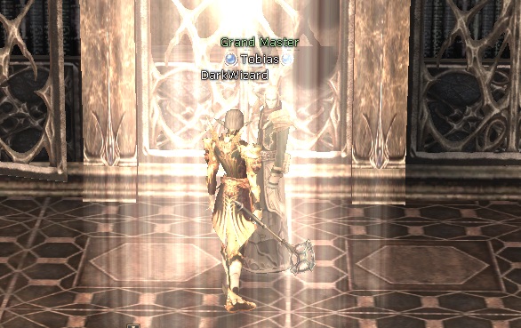 Умения профессии Dark Wizard