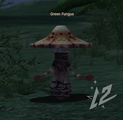 Green Fungus 9 lvl 1 Green Fungus