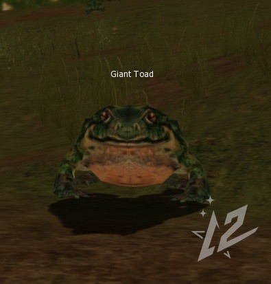 Giant Toad