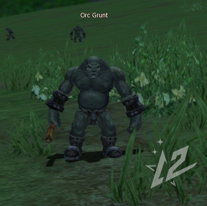 Orc Grunt 7 lvl 1 Orc Grunt