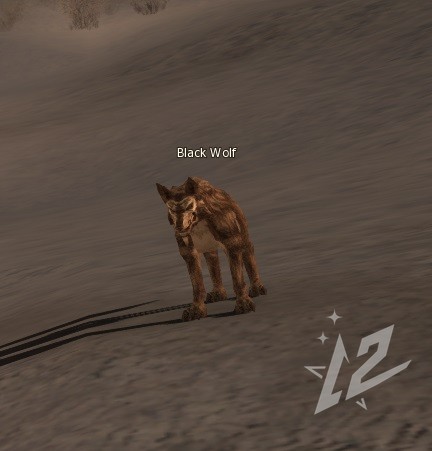 Black Wolf 4 lvl 1 Black Wolf