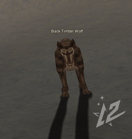 Black Timber Wolf 6 lvl 1 Black Timber Wolf