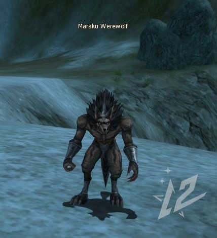 Maraku Werewolf 9 lvl 1 Maraku Werewolf