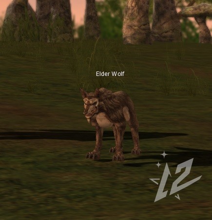 Elder Wolf 5 lvl 1 Elder Wolf