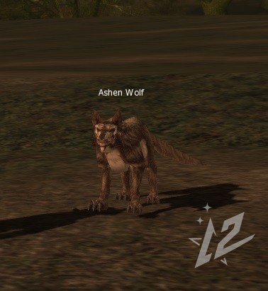 Ashen Wolf 4 lvl 1 Ashen Wolf