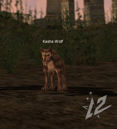 Kasha Wolf 4 lvl 1 Kasha Wolf