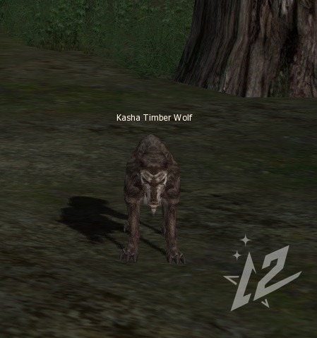 Kasha Timber Wolf 6 lvl 1 Kasha Timber Wolf