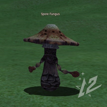 Spore Fungus