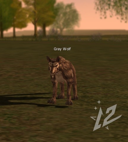 Gray Wolf 4 lvl 1 Gray Wolf